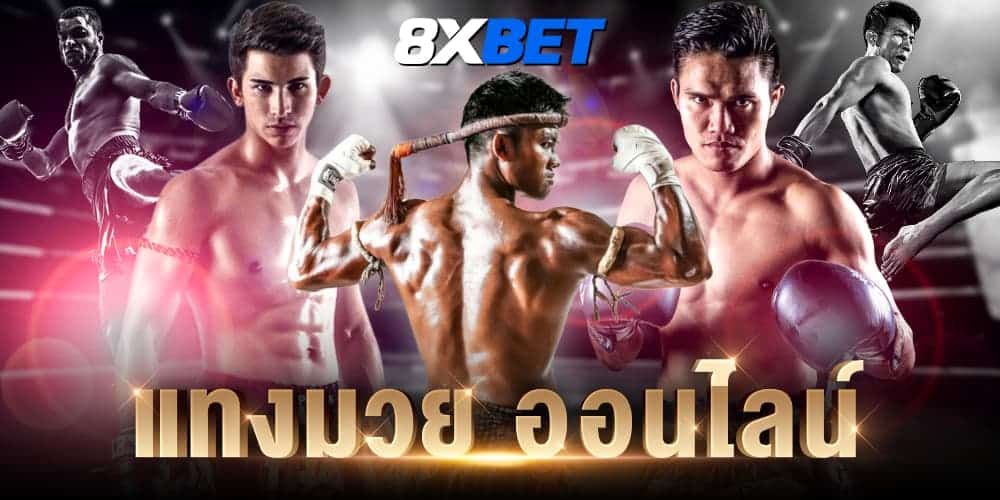 แทงมวย ออนไลน์ แทงมวย ออนไลน์