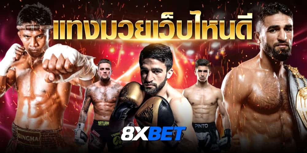 แทงมวยเว็บไหนดี แทงมวยเว็บไหนดี